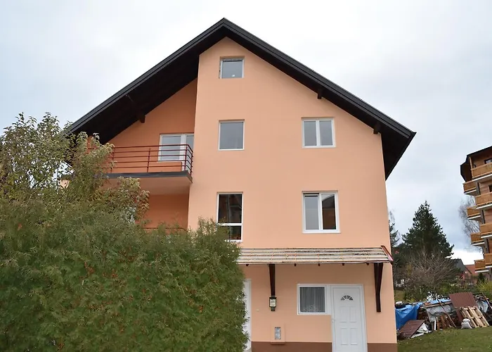 Bojovic 즐라티보