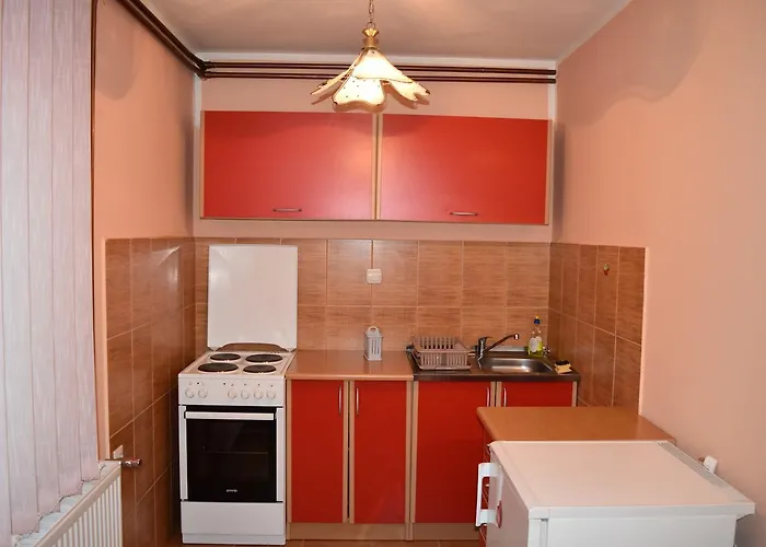 Bojovic 아파트 즐라티보