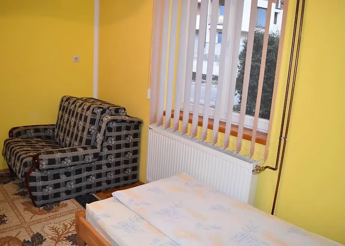 Bojovic * 즐라티보